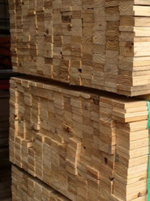 product-categoryForestal